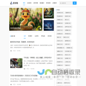 爱攻略网-全网硬核生活百科​